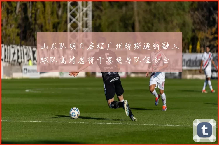 山东队明日启程广州琼斯逐渐融入球队高诗岩将于客场与队伍会合